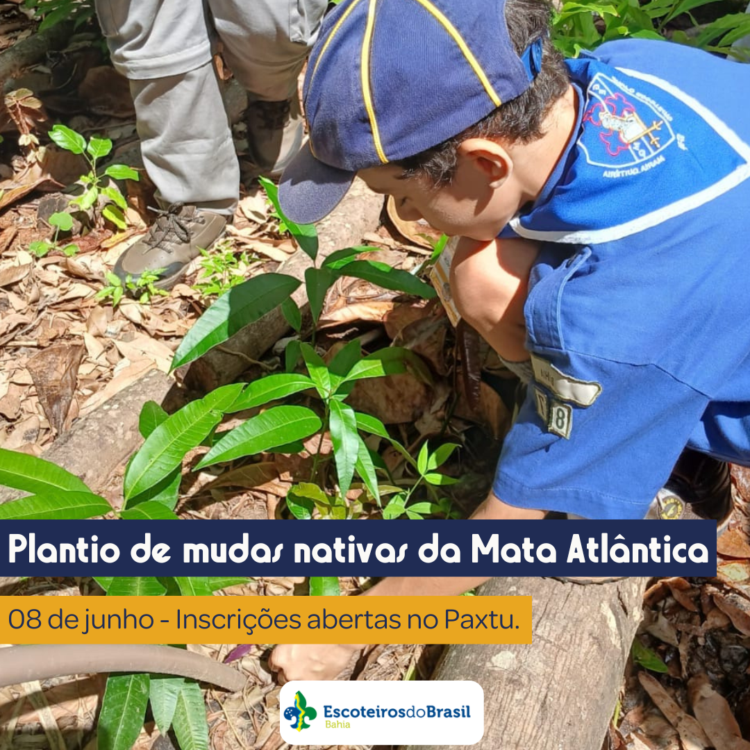 Convite – Plantio de Mudas na Semana do Meio Ambiente
